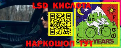 PSILOCYBIN Будённовск
