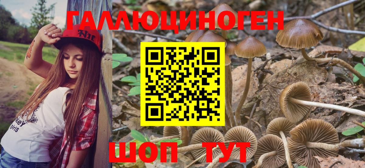 Псилоцибиновые грибы MAGIC MUSHROOMS  Галлюциногенные грибы мицелий  Вход с VPN  сколько стоит  Пушкино 